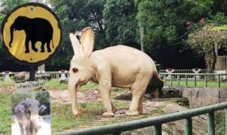 动物园规则怪谈原文