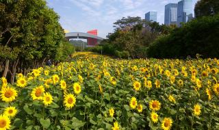 怎么删除空间好友
