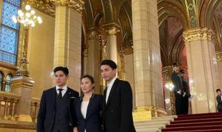 匈牙利刘少林刘少昂